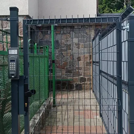 Dom *